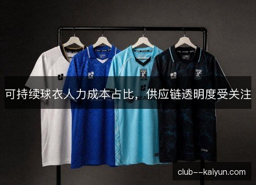 可持续球衣人力成本占比,供应链透明度受关注 可持续球衣人力成本占比,供应链透明度受关注